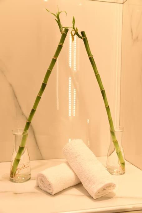 Syntagma Square, 30Sqm Nikis Luxurious Studio Athena Bagian luar foto